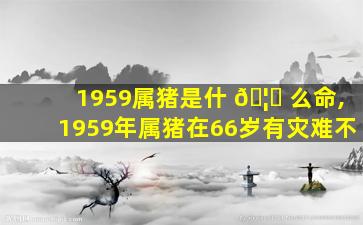 1959属猪是什 🦄 么命,1959年属猪在66岁有灾难不